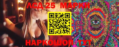 мет Дмитров
