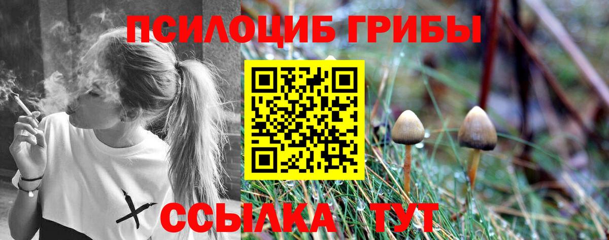Галлюциногенные грибы мухоморы Шахты